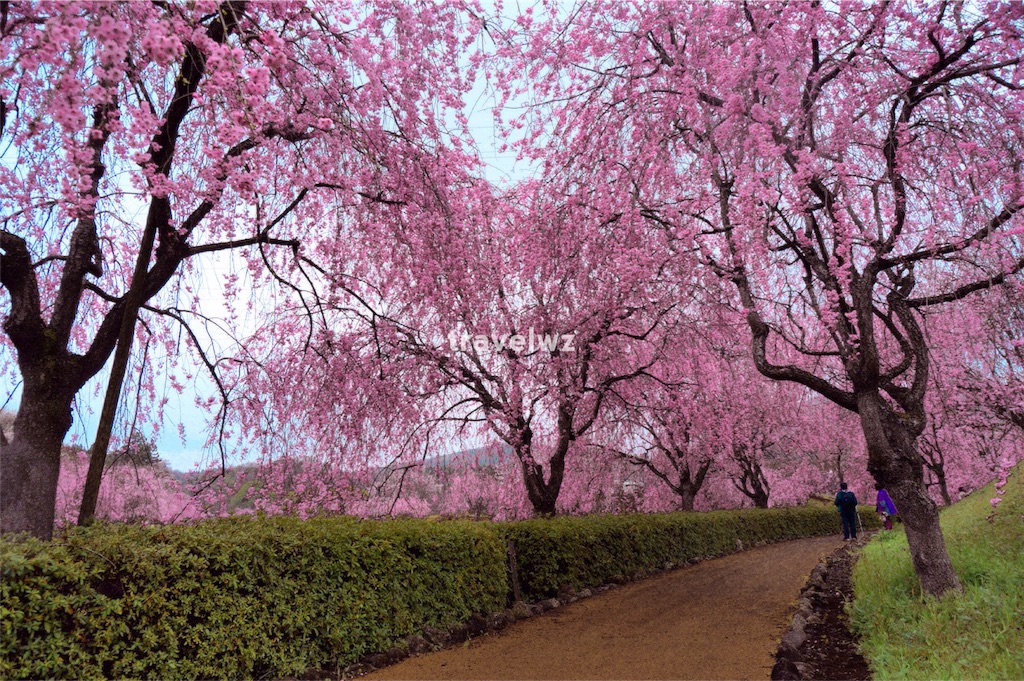 f:id:travelwz:20160406173805j:image f:id:travelwz:20160406173805j:image
