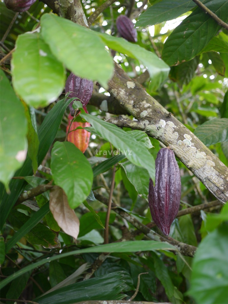 f:id:travelwz:20160414184518j:image,w400 f:id:travelwz:20160414184518j:image,w400