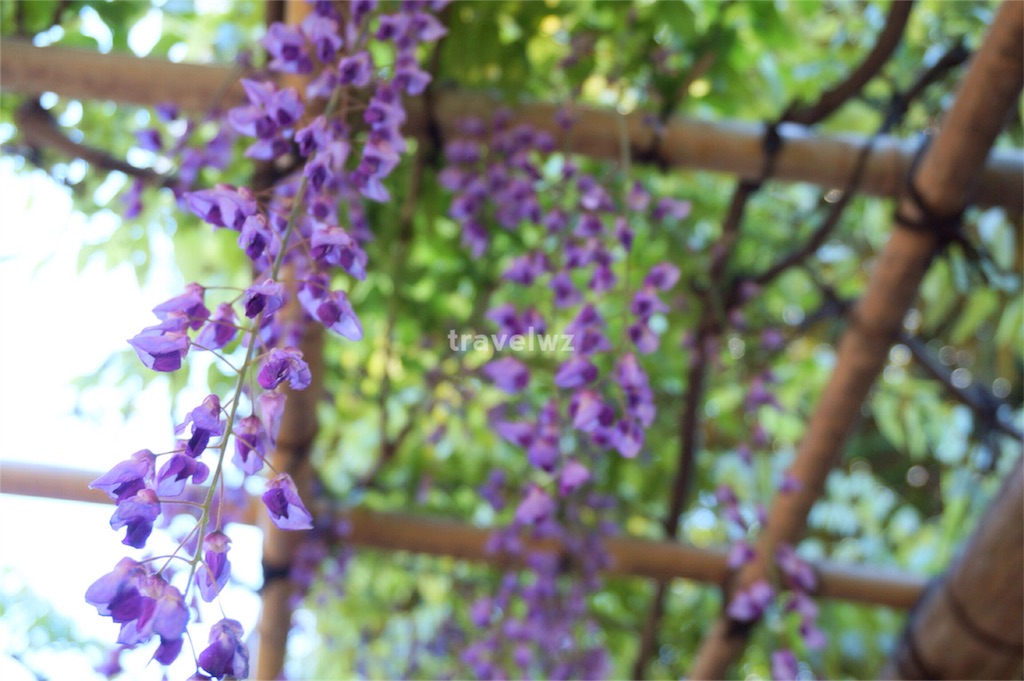 f:id:travelwz:20160430215631j:image f:id:travelwz:20160430215631j:image