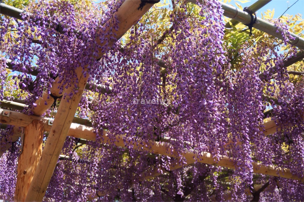f:id:travelwz:20160501050208j:image f:id:travelwz:20160501050208j:image