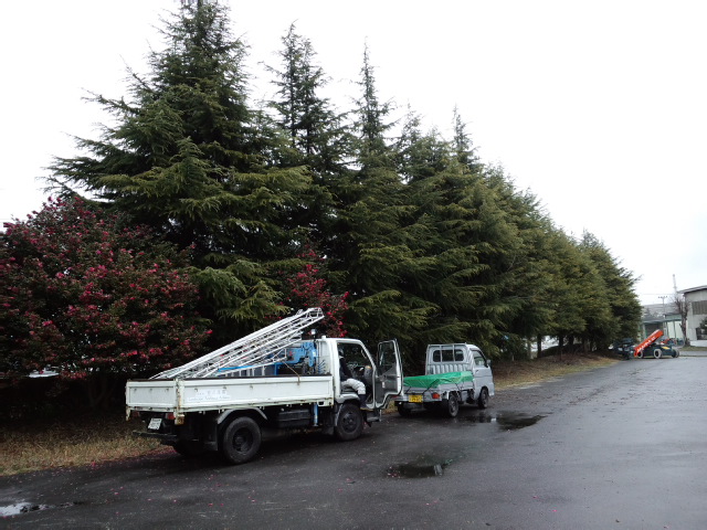 f:id:treeside:20110301082449j:image f:id:treeside:20110301082449j:image