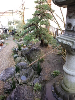 f:id:treeside:20110328153007j:image f:id:treeside:20110328153007j:image