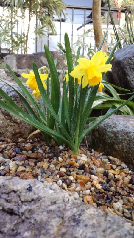 f:id:treeside:20110328153234j:image f:id:treeside:20110328153234j:image