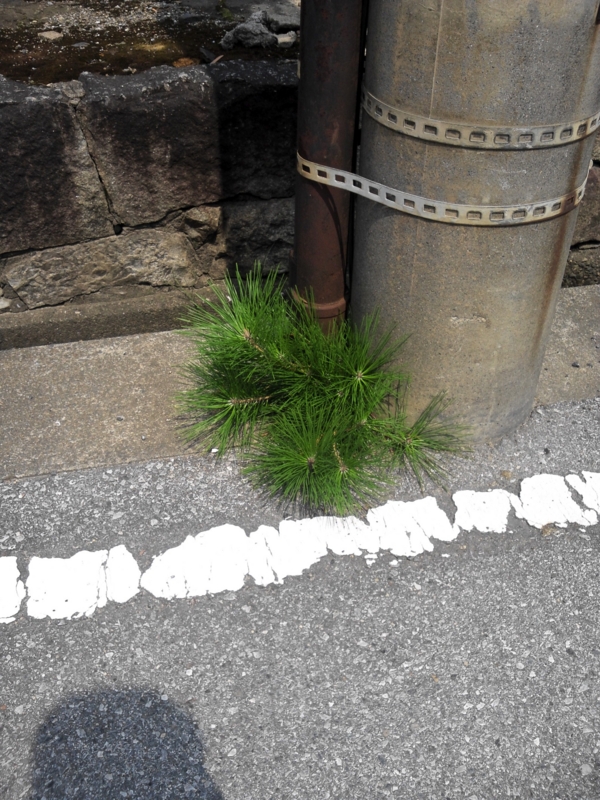 f:id:treeside:20110817104204j:image:w360 f:id:treeside:20110817104204j:image:w360