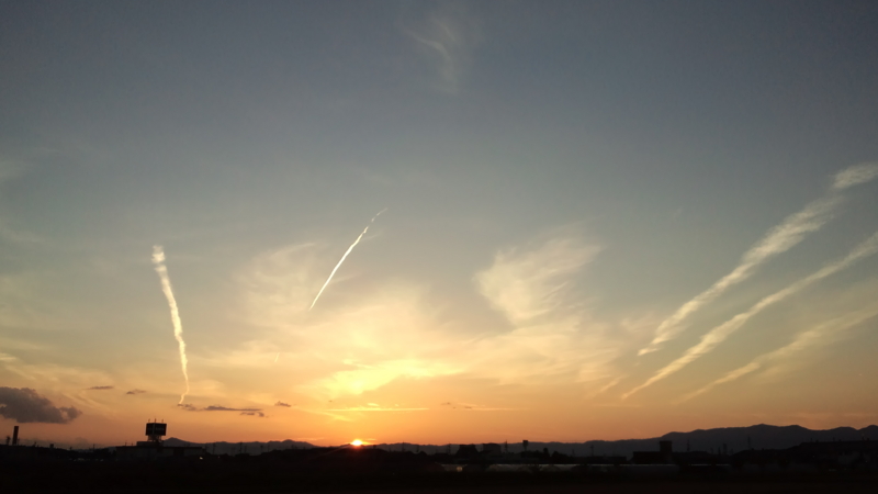 f:id:treeside:20120912175909j:image:w360 f:id:treeside:20120912175909j:image:w360