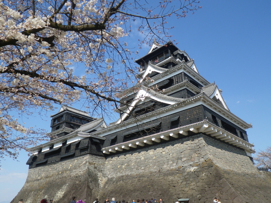 f:id:treeside:20150325151809j:image f:id:treeside:20150325151809j:image