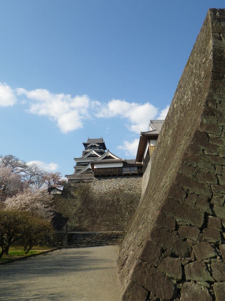 f:id:treeside:20150325155951j:image f:id:treeside:20150325155951j:image