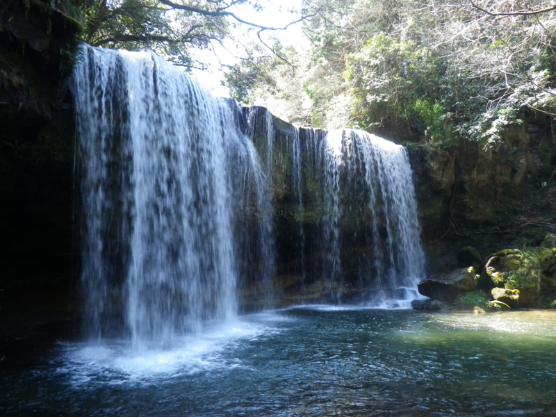 f:id:treeside:20150326114449j:image f:id:treeside:20150326114449j:image