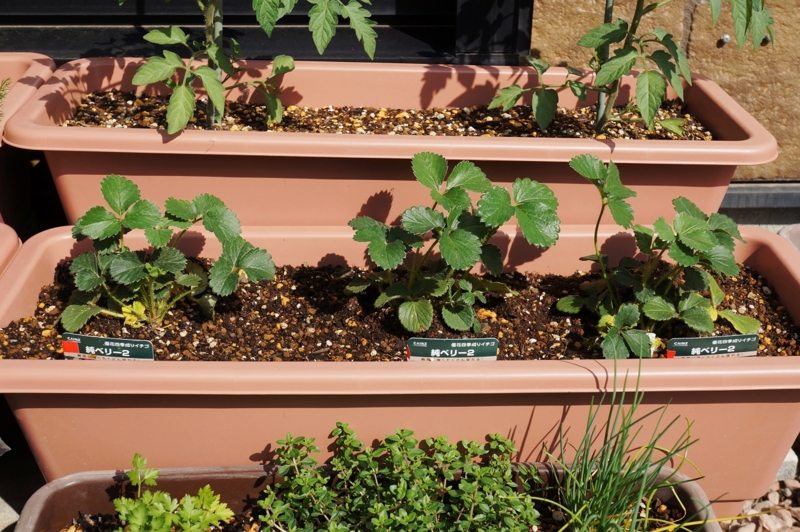 f:id:trick-spec:20140519081234j:plain