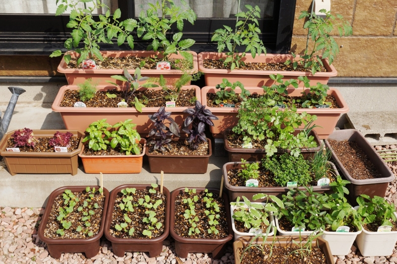 f:id:trick-spec:20140520081614j:plain