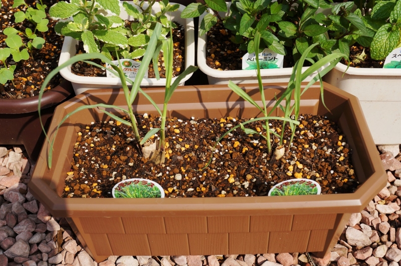 f:id:trick-spec:20140520081632j:plain