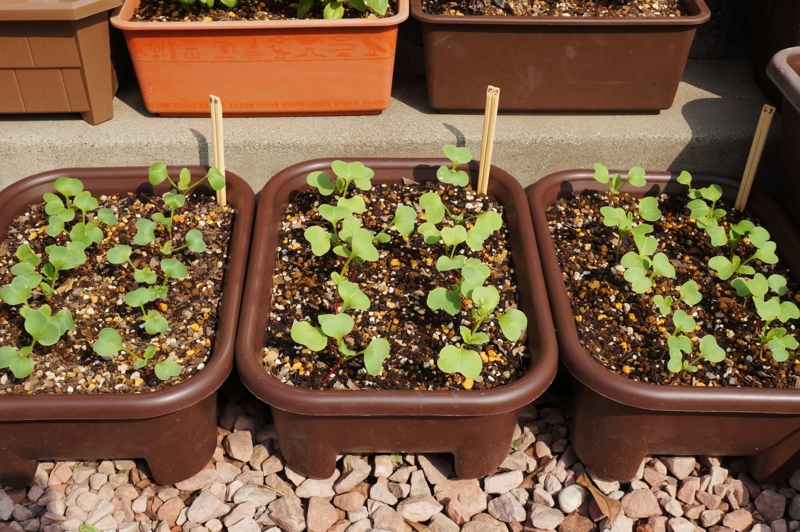 f:id:trick-spec:20140520081659j:plain