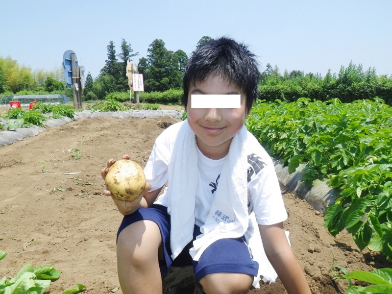 f:id:trick-spec:20140601124720j:plain f:id:trick-spec:20140601124720j:plain