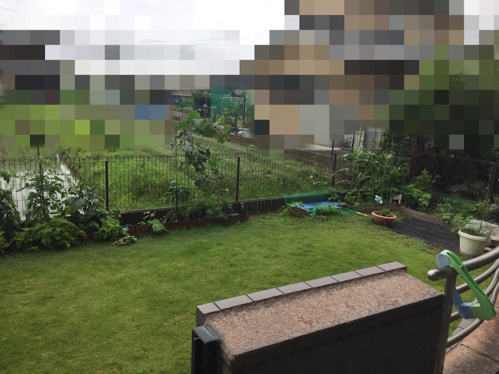 f:id:trinity729:20160623103516j:image f:id:trinity729:20160623103516j:image