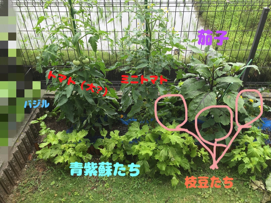 f:id:trinity729:20160623131350j:image f:id:trinity729:20160623131350j:image