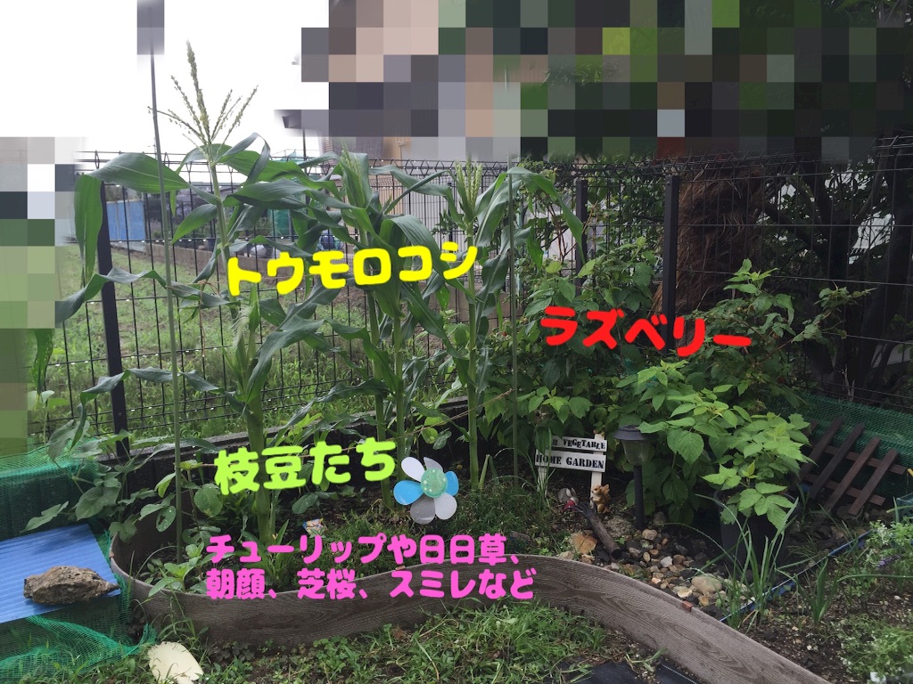f:id:trinity729:20160623131833j:image f:id:trinity729:20160623131833j:image