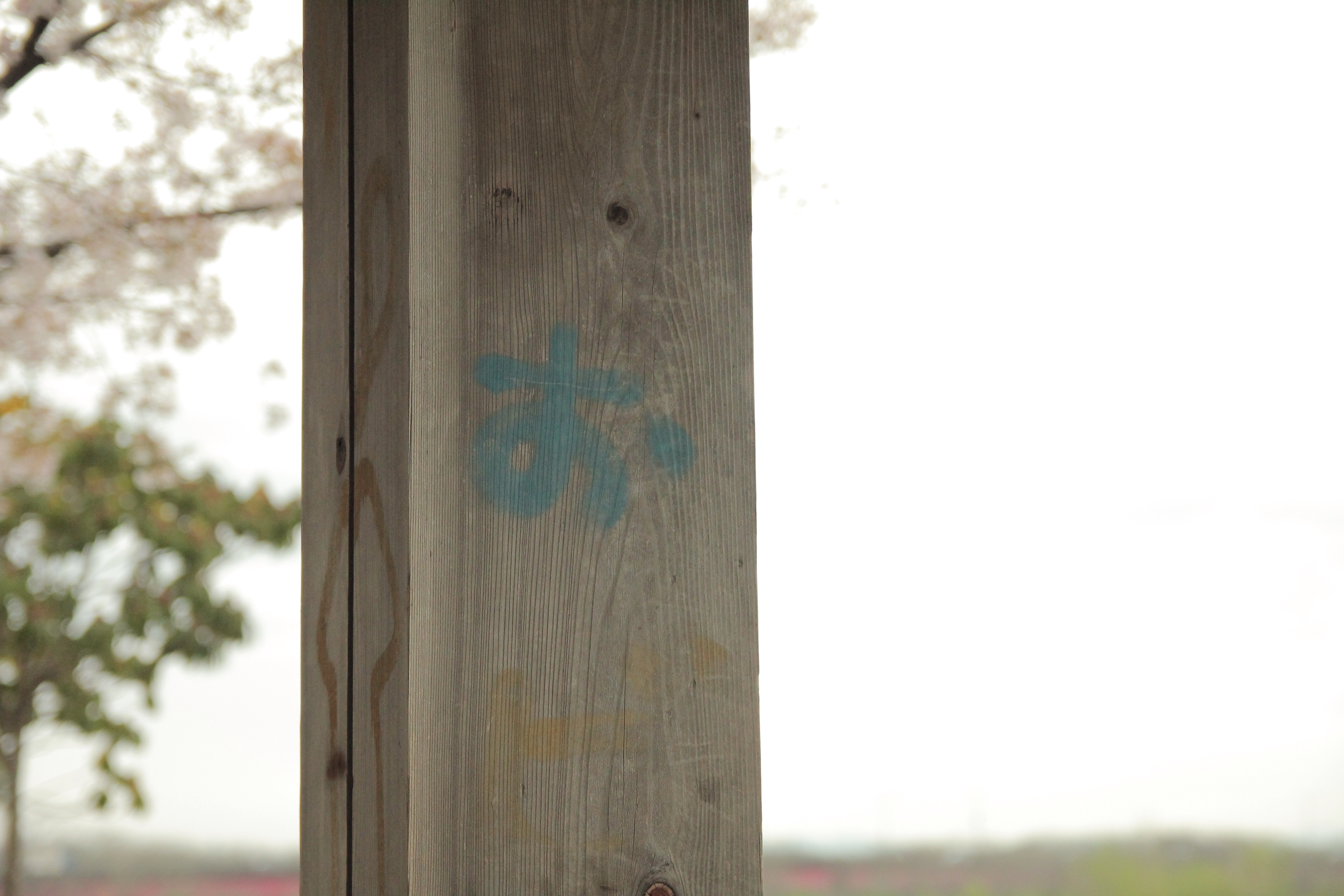 f:id:trunk1109:20150421222445j:plain f:id:trunk1109:20150421222445j:plain