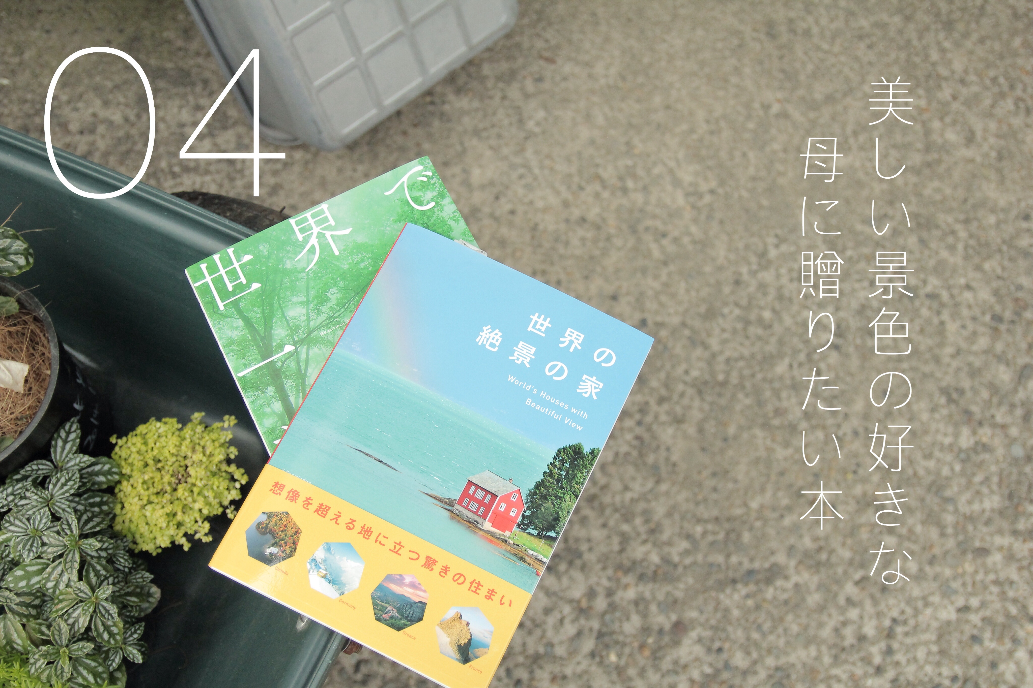 f:id:trunk1109:20150425005647j:plain f:id:trunk1109:20150425005647j:plain