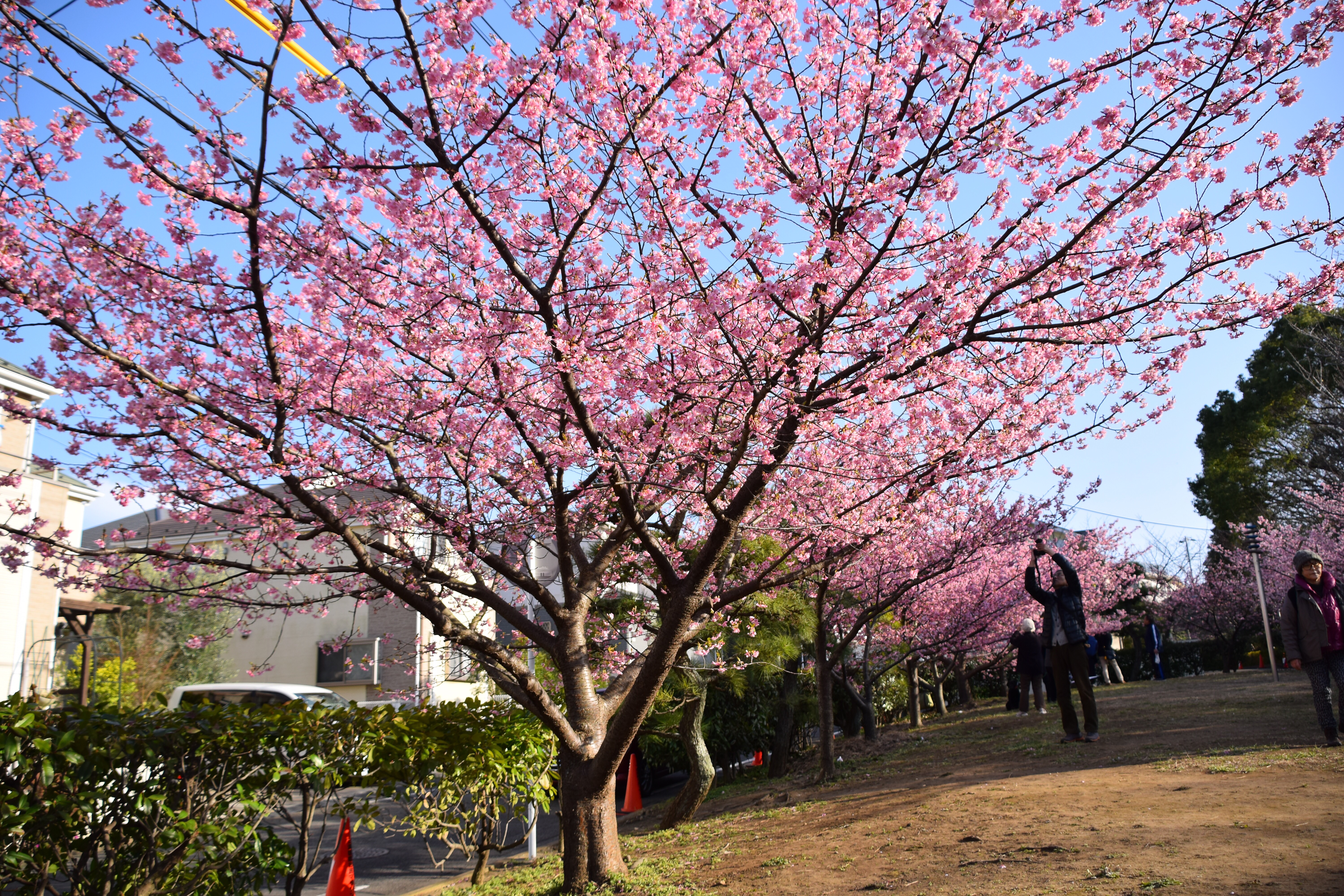 f:id:trysail1089:20160220051257j:image f:id:trysail1089:20160220051257j:image