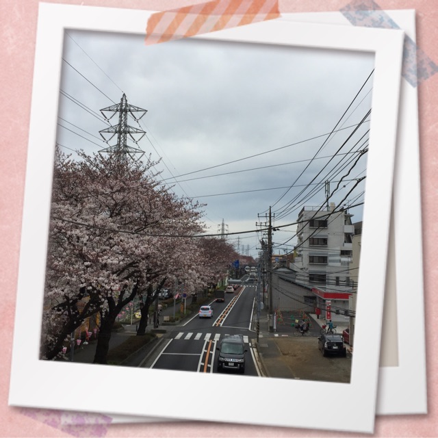 f:id:tsubasaichijo:20150330145642j:plain f:id:tsubasaichijo:20150330145642j:plain