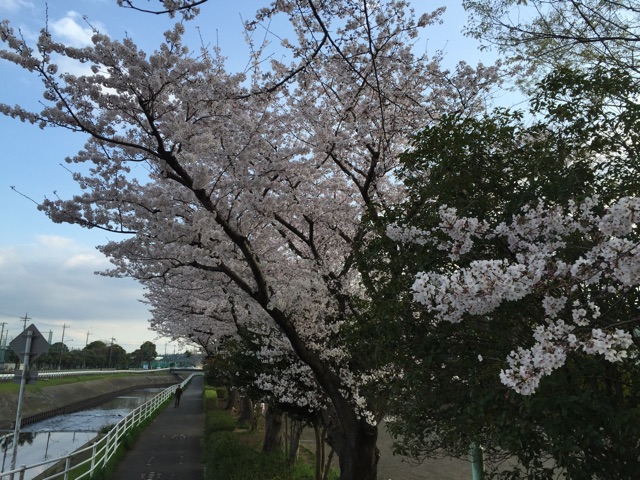 f:id:tsubasaichijo:20150403021629j:plain f:id:tsubasaichijo:20150403021629j:plain