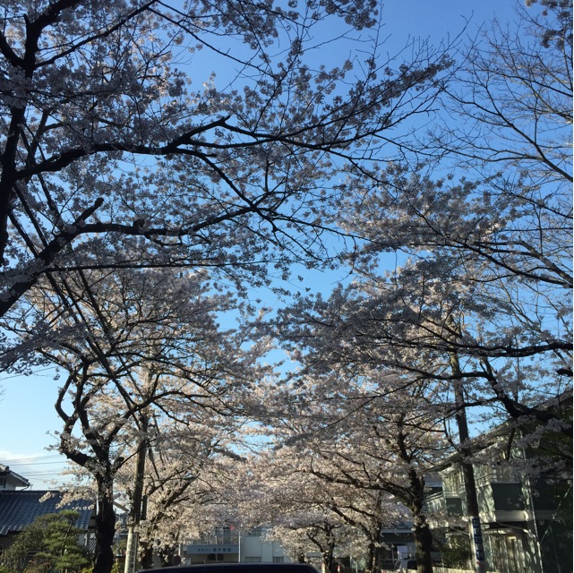 f:id:tsubasaichijo:20150403021659j:plain f:id:tsubasaichijo:20150403021659j:plain