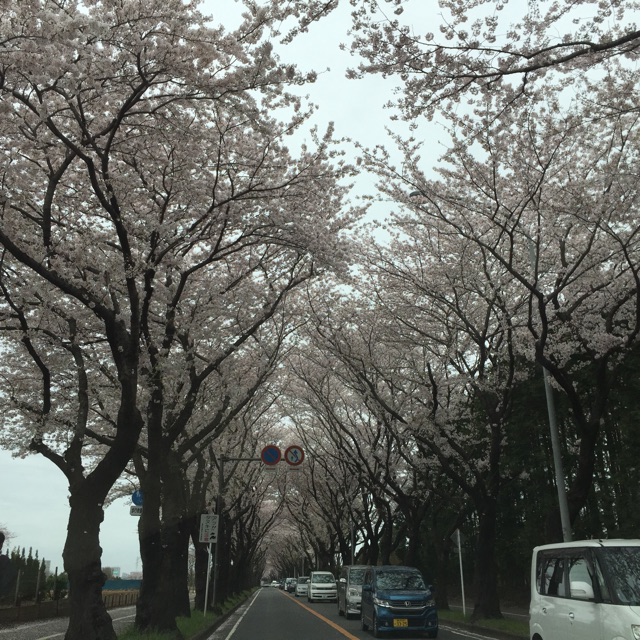f:id:tsubasaichijo:20150405022602j:plain f:id:tsubasaichijo:20150405022602j:plain