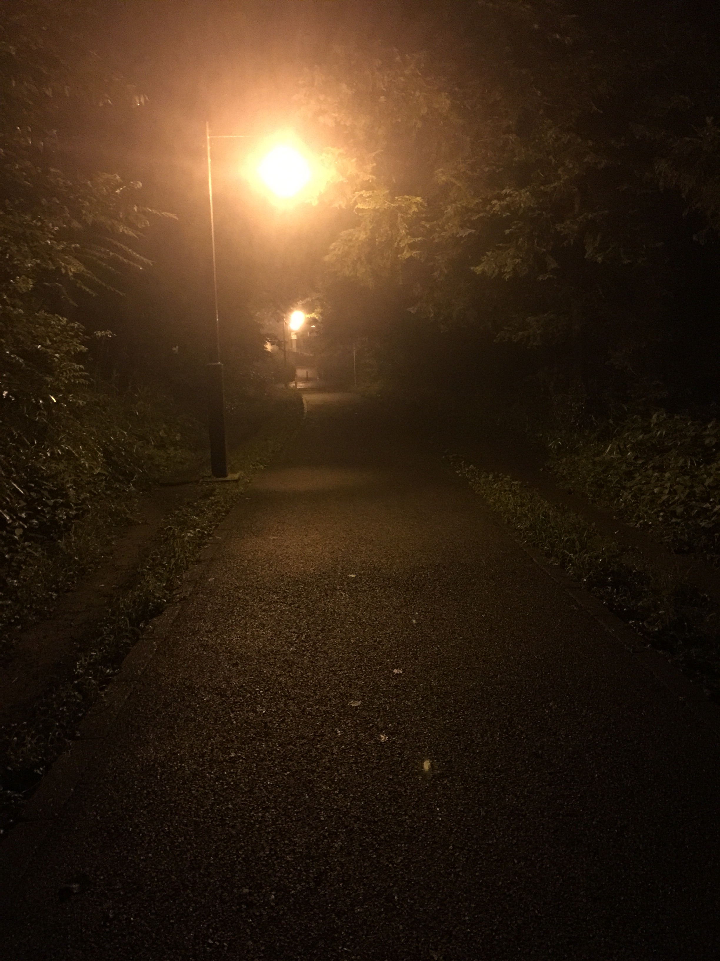 f:id:tsubasaichijo:20150708032141j:image f:id:tsubasaichijo:20150708032141j:image