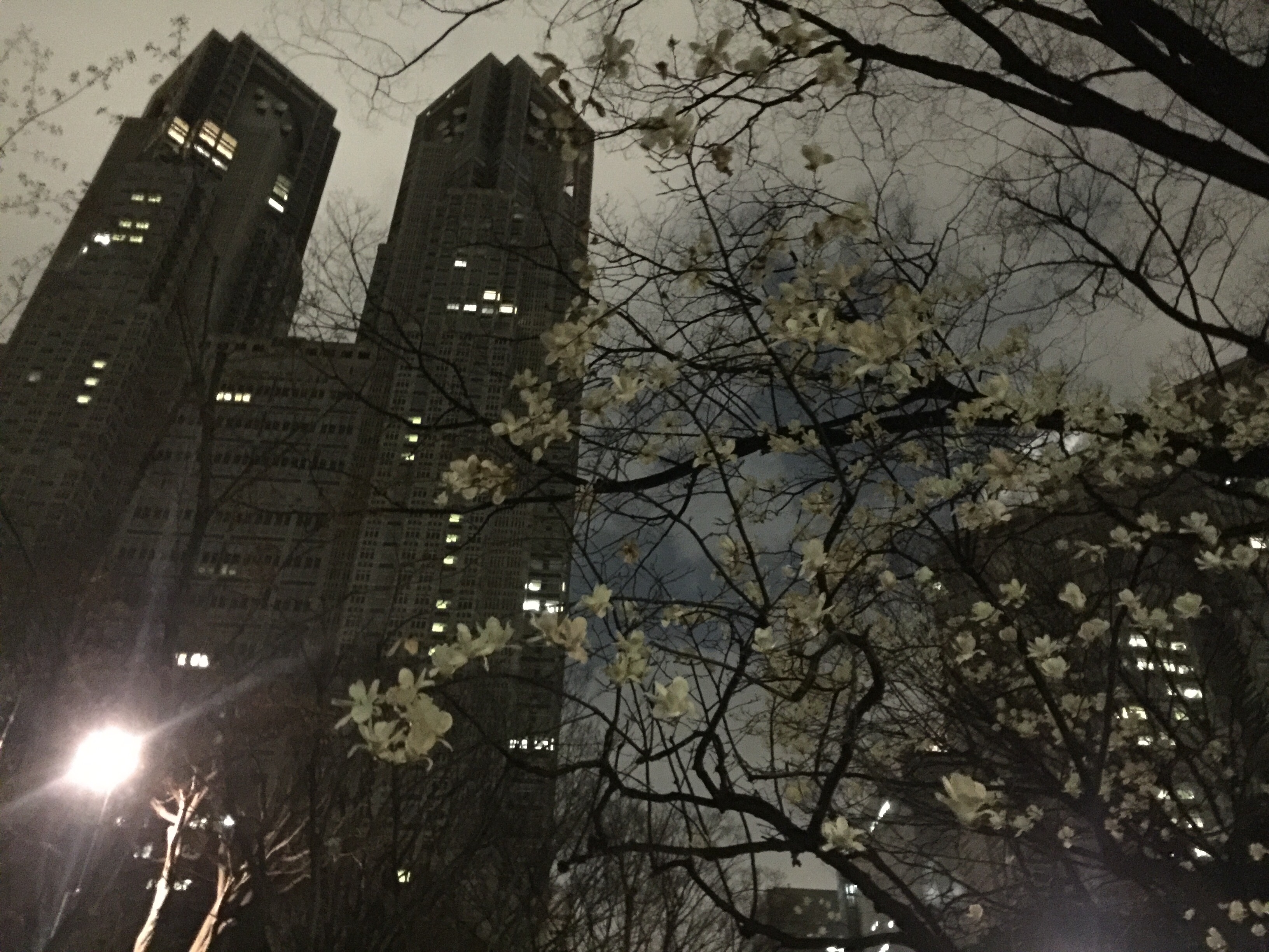 f:id:tsubasaichijo:20160322062704j:image f:id:tsubasaichijo:20160322062704j:image