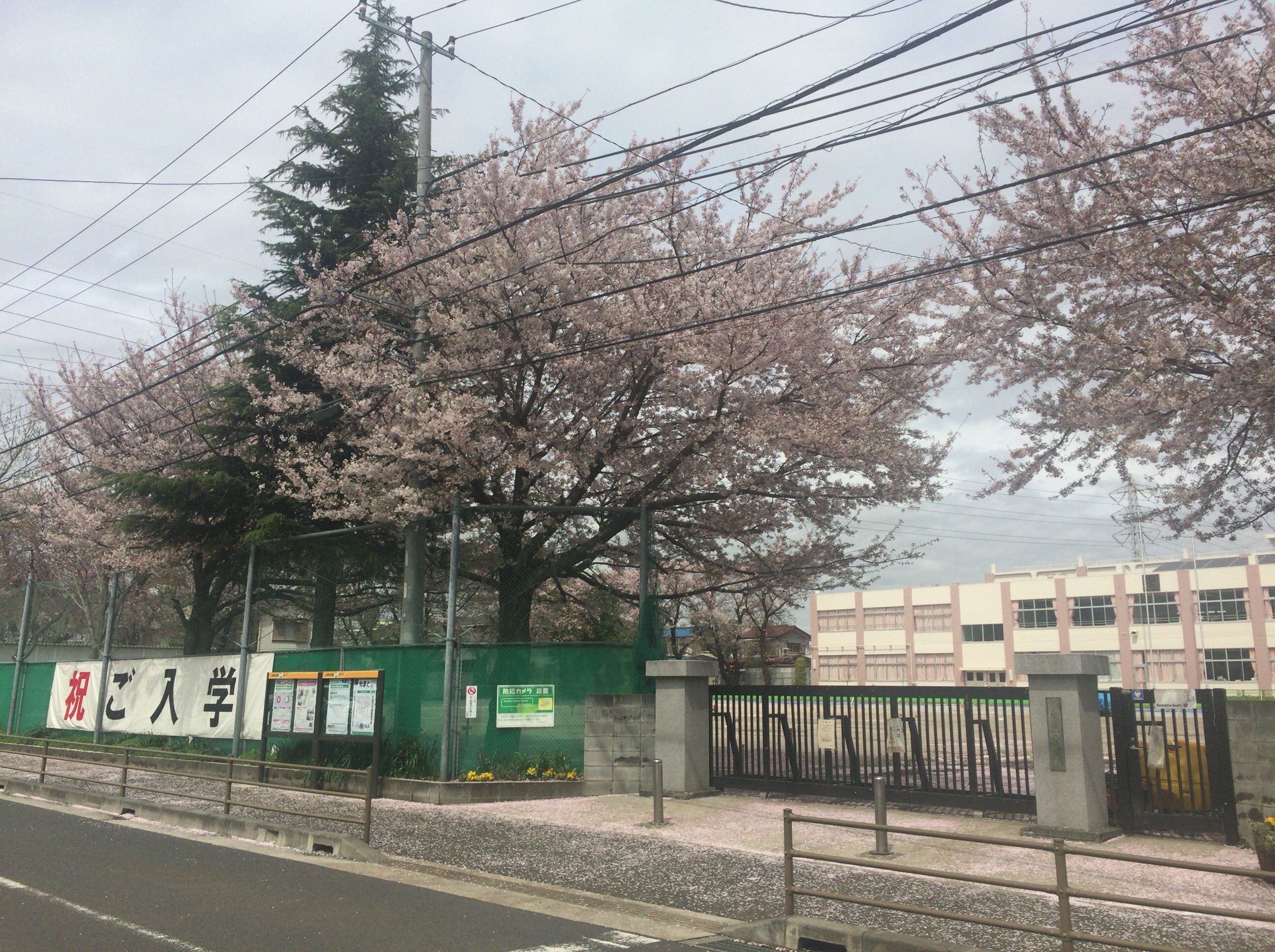f:id:tsubasaichijo:20160408113734j:image f:id:tsubasaichijo:20160408113734j:image