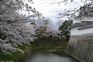f:id:tsuboyaki:20130406061747j:plain f:id:tsuboyaki:20130406061747j:plain
