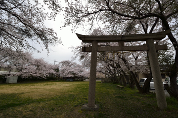 f:id:tsuboyaki:20130406063457j:plain f:id:tsuboyaki:20130406063457j:plain