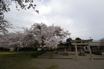 f:id:tsuboyaki:20130406063559j:plain f:id:tsuboyaki:20130406063559j:plain