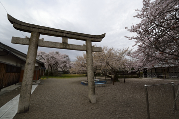 f:id:tsuboyaki:20130406063644j:plain f:id:tsuboyaki:20130406063644j:plain