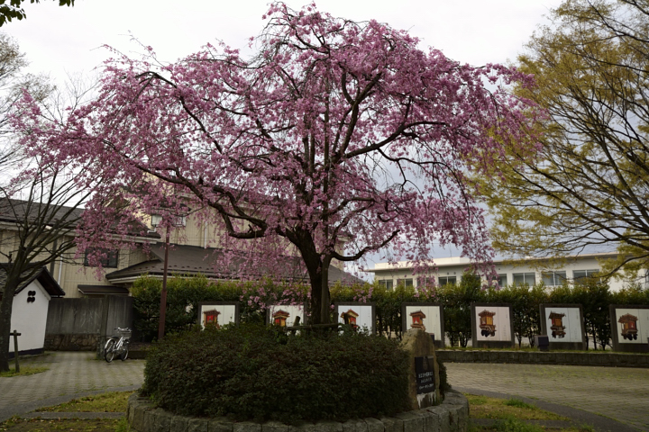 f:id:tsuboyaki:20130406064836j:plain f:id:tsuboyaki:20130406064836j:plain