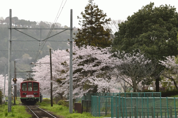 f:id:tsuboyaki:20130406065100j:plain f:id:tsuboyaki:20130406065100j:plain