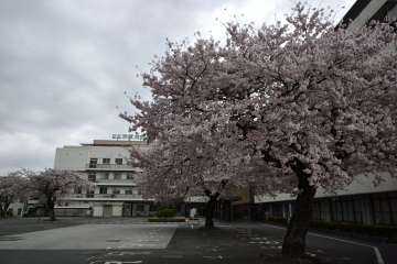 f:id:tsuboyaki:20130406072739j:plain f:id:tsuboyaki:20130406072739j:plain