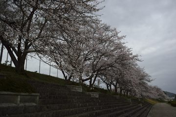 f:id:tsuboyaki:20130406075446j:plain f:id:tsuboyaki:20130406075446j:plain
