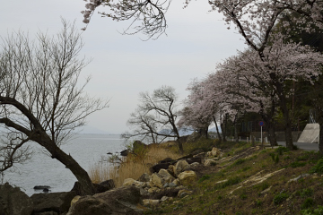 f:id:tsuboyaki:20130409085327j:plain f:id:tsuboyaki:20130409085327j:plain