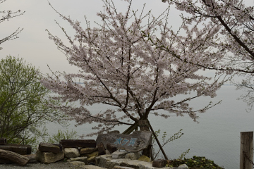 f:id:tsuboyaki:20130409085620j:plain f:id:tsuboyaki:20130409085620j:plain