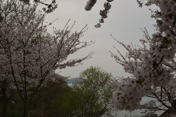 f:id:tsuboyaki:20130409085635j:plain f:id:tsuboyaki:20130409085635j:plain