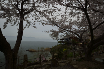 f:id:tsuboyaki:20130409090741j:plain f:id:tsuboyaki:20130409090741j:plain