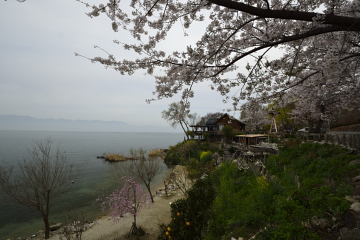 f:id:tsuboyaki:20130409091021j:plain f:id:tsuboyaki:20130409091021j:plain