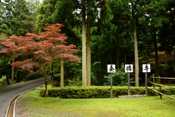 f:id:tsuboyaki:20130705083038j:plain f:id:tsuboyaki:20130705083038j:plain