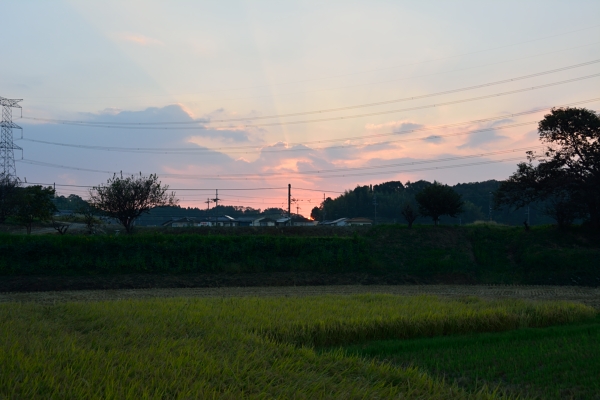 f:id:tsuboyaki:20131012061238j:plain f:id:tsuboyaki:20131012061238j:plain