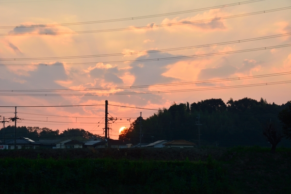 f:id:tsuboyaki:20131012061647j:plain f:id:tsuboyaki:20131012061647j:plain