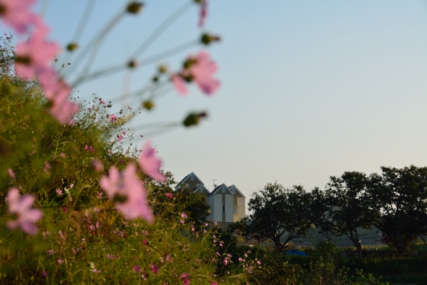 f:id:tsuboyaki:20131012064747j:plain f:id:tsuboyaki:20131012064747j:plain