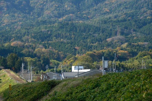 f:id:tsuboyaki:20131121104112j:plain f:id:tsuboyaki:20131121104112j:plain