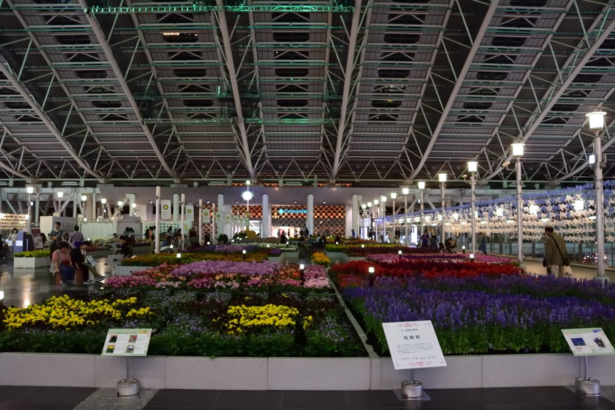 f:id:tsuboyaki:20141004182939j:plain f:id:tsuboyaki:20141004182939j:plain