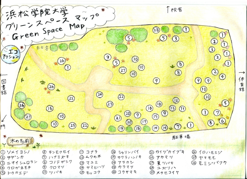 f:id:tsuchilab:20131205164638j:plain